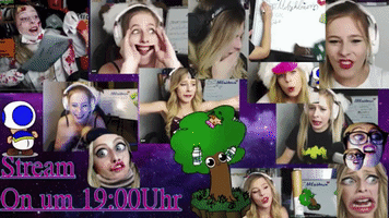 schambess  GIF