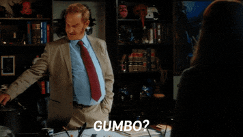 new orleans gumbo GIF by Angie Tribeca