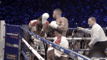 gym boxing GIF by SHOWTIME Sports