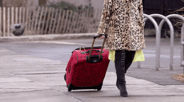 rolling suitcase travelling GIF by Girl Starter