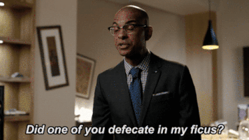 GIF by makinghistory