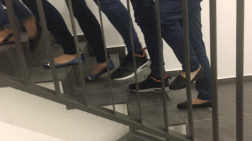 FKrisz93 lepesszamlalas GIF
