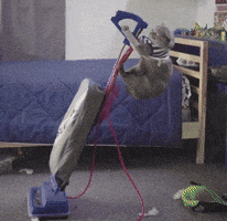 Clean Up Cats GIF by Bubble Witch