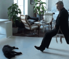 Central  GIF