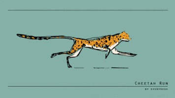 everfresh loop run sketch cinema4d GIF