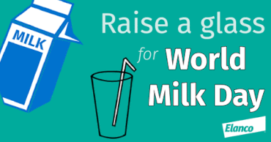 National Milk Day GIF by Elanco