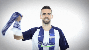 support GIF by Hertha BSC
