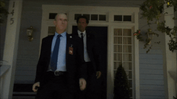 sarahwaynecalliesbrasil colony usa GIF
