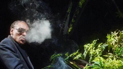 snoop mary jane GIF by Big Beat Records