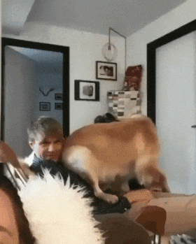 ChadeIdeias  GIF