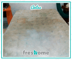 Salud Hogar GIF by Monograma Estudio