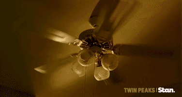 Twin Peaks GIF by Stan.