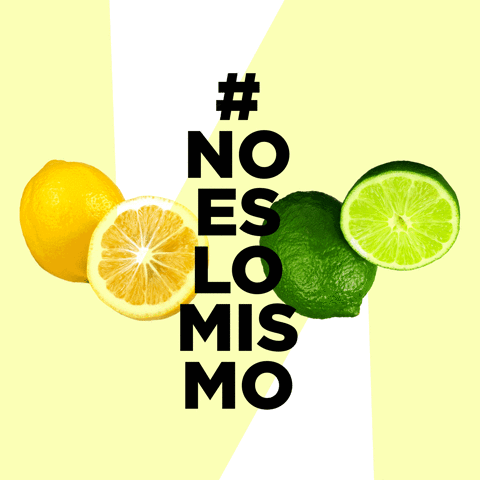 FlipandFlip flip noeslomismo GIF