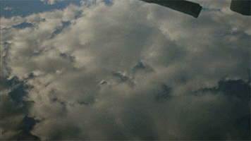 200.gif?cid=fc005b084a54d8381a499425d148de40ba28a3d112f4bb2f&rid=200.gif&ct=g