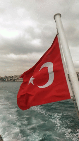 robertoa  GIF