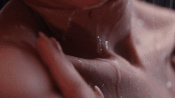 follamigosweb  GIF