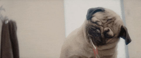 200.gif?cid=fc005b08cba6449817edc27db2a1f3fb312c4f1a0a35cb08&rid=200.gif&ct=g