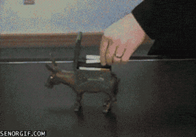 marynadominova  GIF