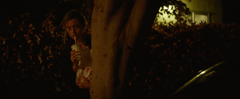 Ingrid Thorburn GIF by Ingrid Goes West - Find & Share on GIPHY
