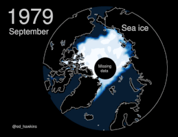 ed_hawkins climate change maps arctic sea ice GIF