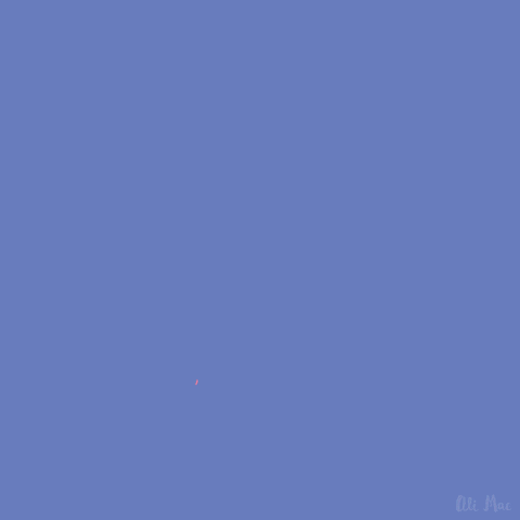 Independence Day Fireworks GIF by alimacdoodle