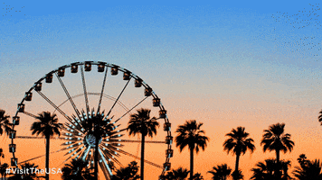 Music Festival Coachella GIF by Visit The USA
