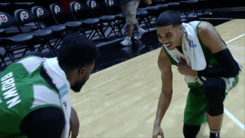 jayson tatum celebration GIF by Boston Celtics