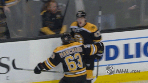 Boston Bruins GIFs on GIPHY - Be Animated