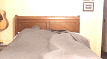 Lets Go Bed GIF by University of Louisiana at Lafayette