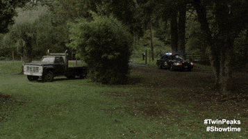 Twin Peaks Police Car GIF by Twin Peaks on Showtime
