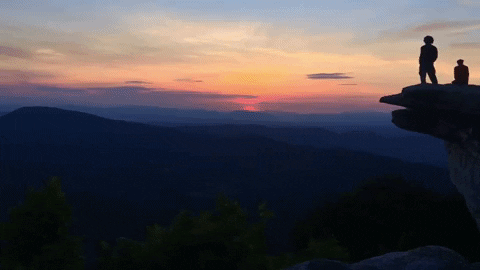 GIF by Roanoke College - Find & Share on GIPHY