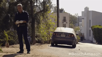 season 3 GIF by Bosch