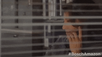 season 3 grace billets GIF by Bosch