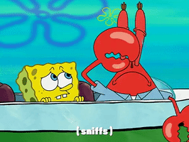 season 3 krabby land GIF by SpongeBob SquarePants