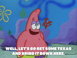 season 1 texas GIF by SpongeBob SquarePants