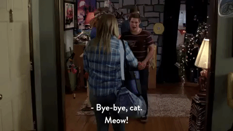 Bye Bye Cat Gifs Get The Best Gif On Giphy