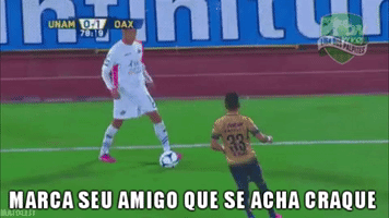 ligadospalpites se acha craque GIF