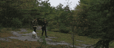 GIF by Andreism Design