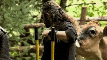 Discovery Channel Reaction GIF by Discovery