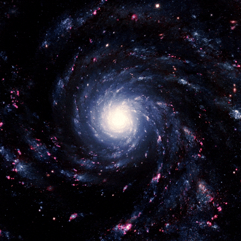If you had to explore dea sea or deep space which one should you pick?