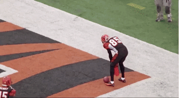 bradenwhited cincyjunglebraden GIF