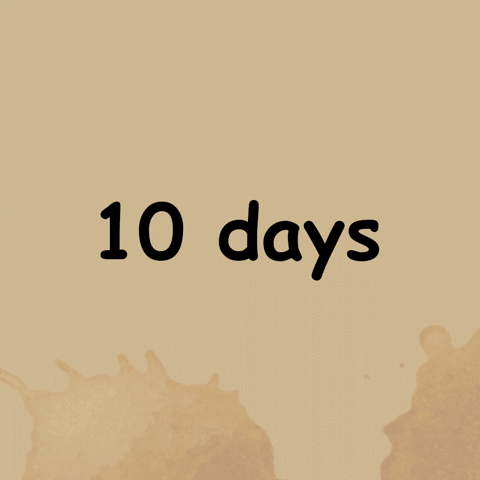 crapappella crapappella 10 days GIF