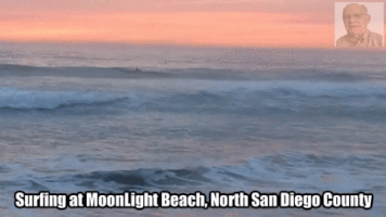 Ralphdharris sports beach gifzign GIF