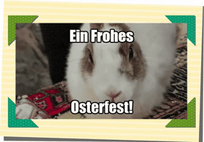 netzcoach  GIF