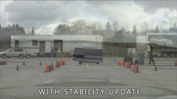hayesface  GIF