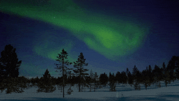 200.gif?cid=fc005b08ab1b0cb0e1321ad3b912ac371db1264e13409676&rid=200.gif&ct=g