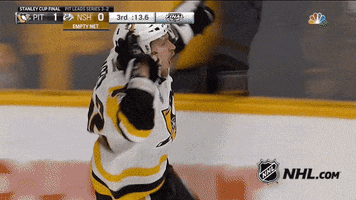 pittsburgh penguins hockey GIF by NHL