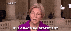 Political gif. Elizabeth Warren looks at us and says emphatically, "It is a factual statement." 