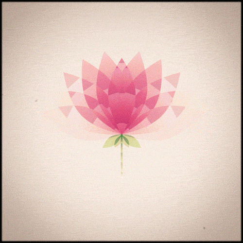 The-white-lotus GIFs - Get the best GIF on GIPHY