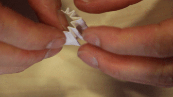 Zamnesia cannabis filter tip joint GIF